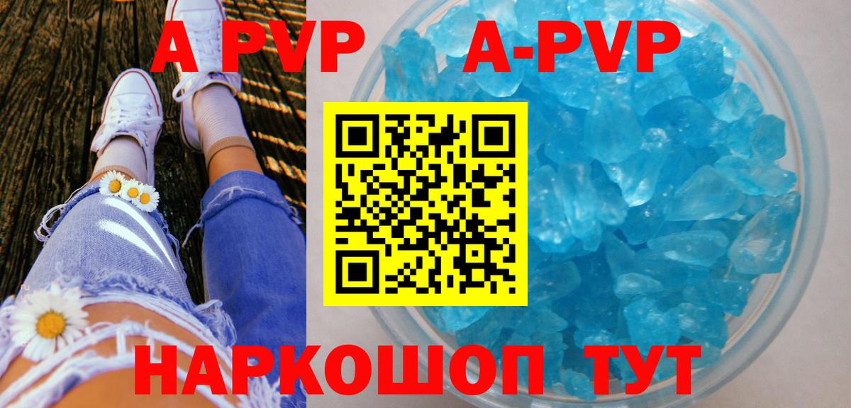 Альфа ПВП СК Североморск