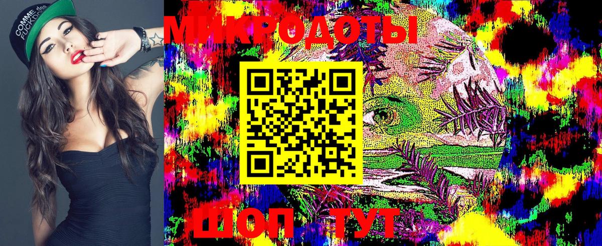 Псилоцибиновые грибы Cubensis Североморск