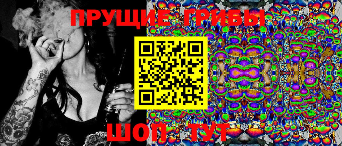 Североморск  Галлюциногенные грибы Psilocybe  купить наркоту  Вход с VPN 